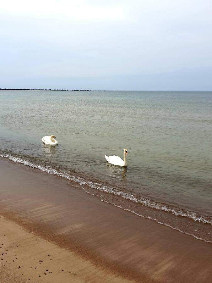 Palanga Apartments Near Baltic Sea Eksteriør bilde